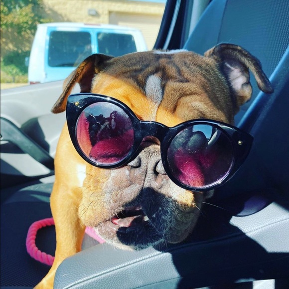 Meet your seller - Picture 10 of 11